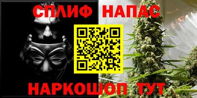 стаф Будённовск