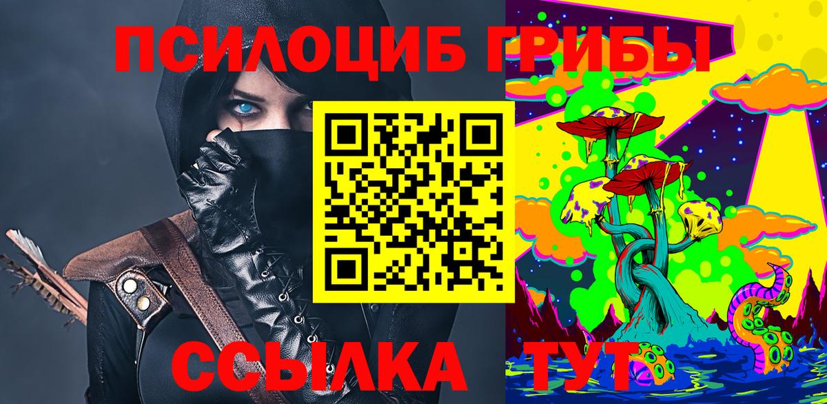 Галлюциногенные грибы Psilocybine cubensis Отрадное